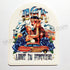 DGK / Dirty Ghetto Kids "Lost In Paradise" Skateboard Sticker - 9.5 cm x 7.5 cm approx