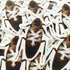 Zoo York Cockroach Skateboard Sticker - 7.5cm high approx - SkateboardStickers.com